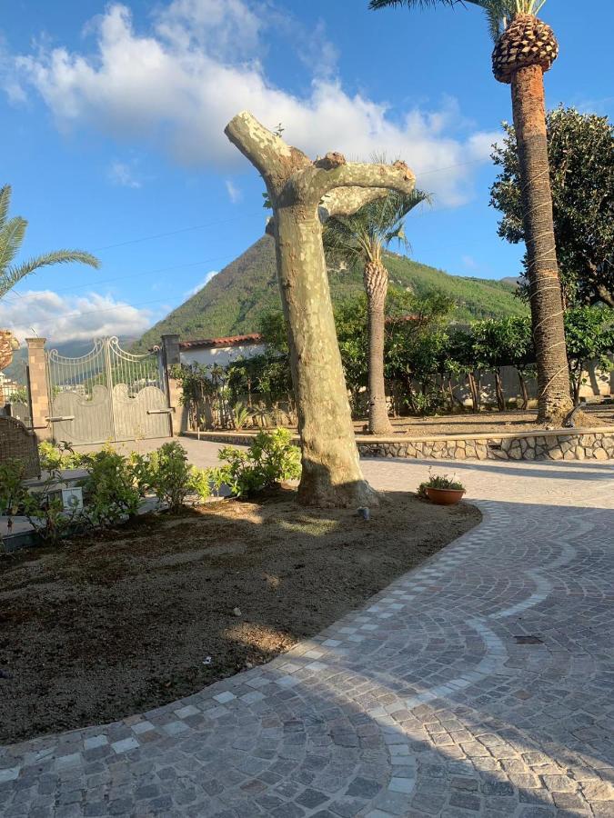 Villa Lucia Кастеламаре ди Стабия Екстериор снимка